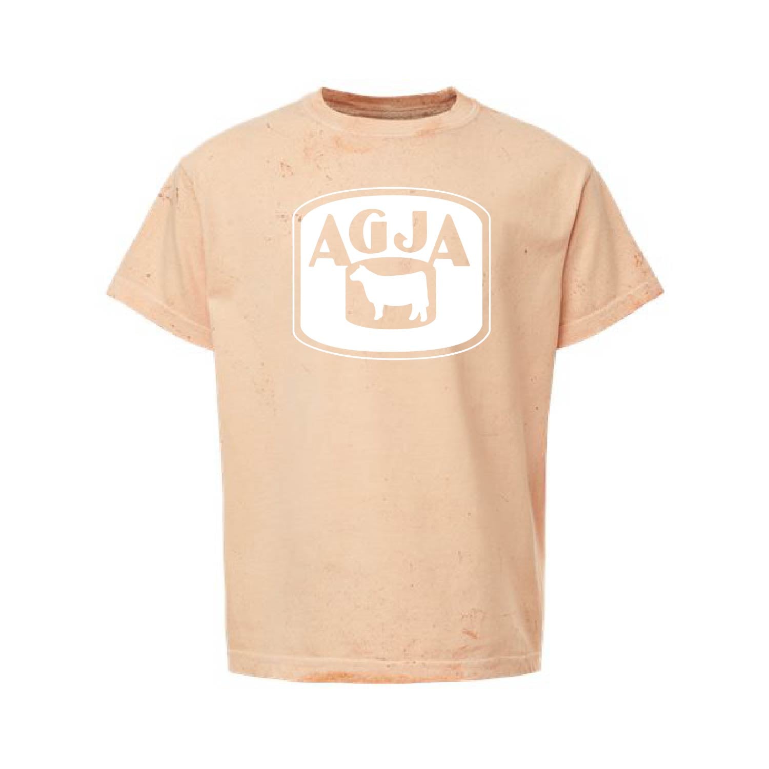 American Gelbvieh Association Youth