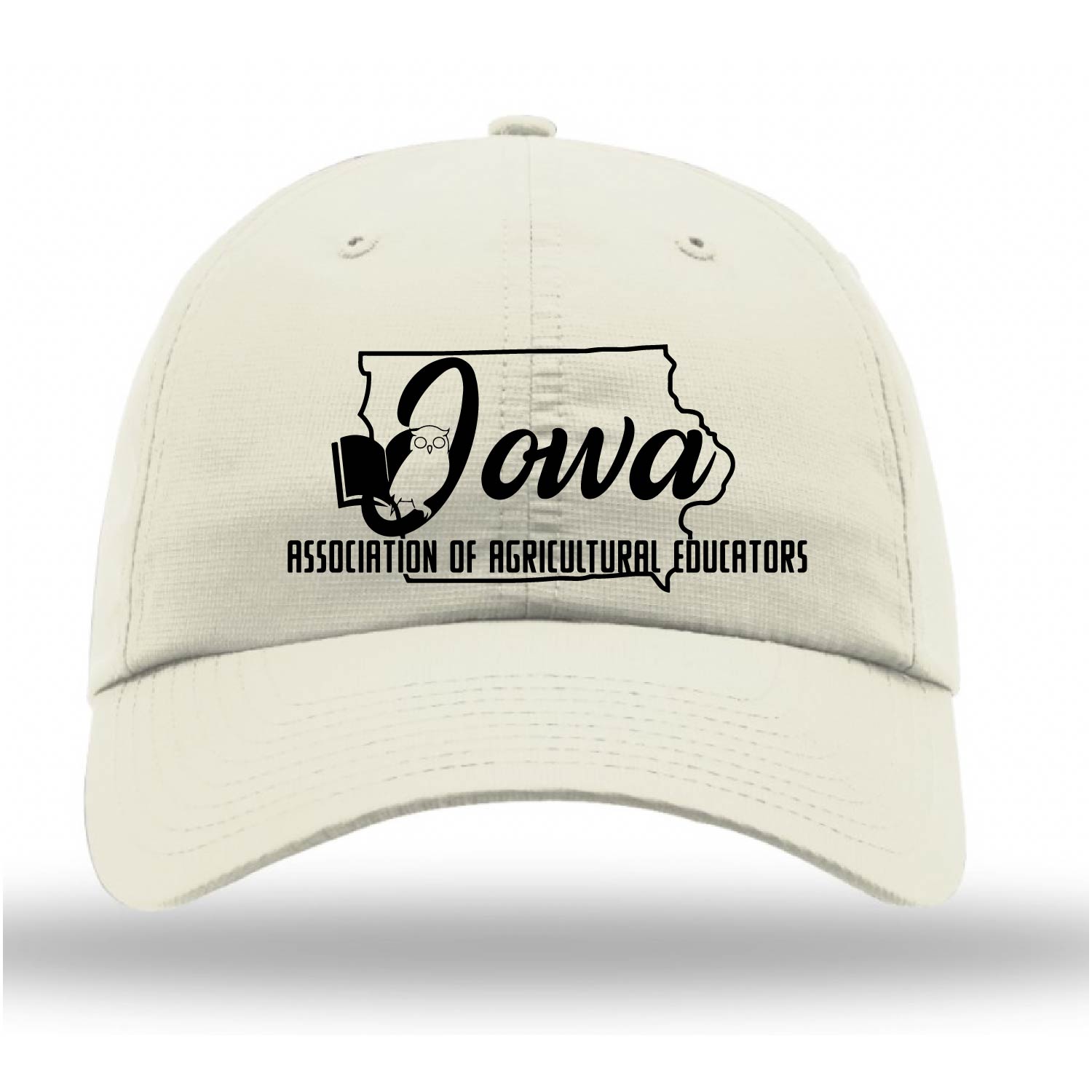 IAAE 2026 Hat