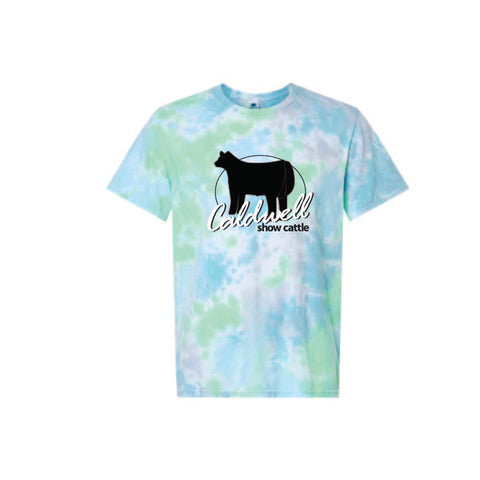 Caldwell 25 - Vintage Tie-Dyed Tee - Unisex - Wave
