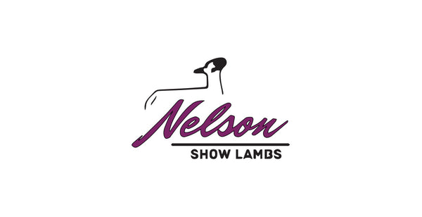 Nelson Show Lambs header.jpg__PID:c0cf93b3-3b05-4b77-b9a4-390805565566