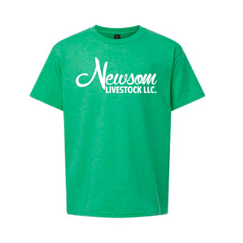 Newsom - Softstyle Tee - Youth - Heather Irish Green