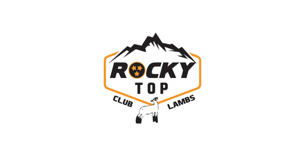 Rocky Top Club Lambs header.jpg__PID:8e393d45-2487-4e2e-99f4-4875a36e6b9f