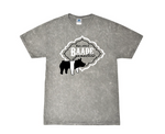 Baade Genetics 25 - Colortone Tee - Mineral Wash Gray