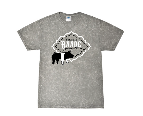 Baade Genetics 25 - Colortone Tee - Mineral Wash Gray