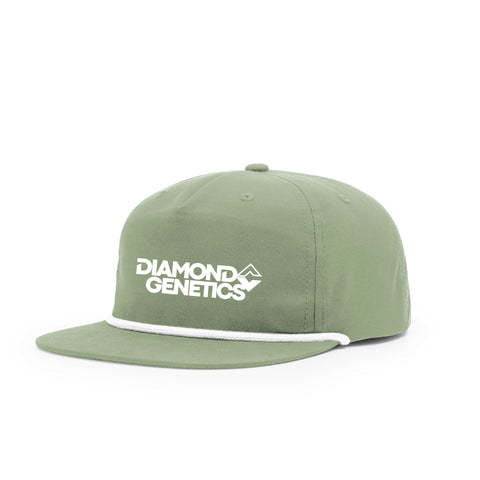 Diamond C Genetics  - 2025 - Richardson 256 - Sage/White